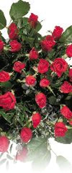 Reviews- Excellent band Band Diego of San Diego  Best Band for oldies